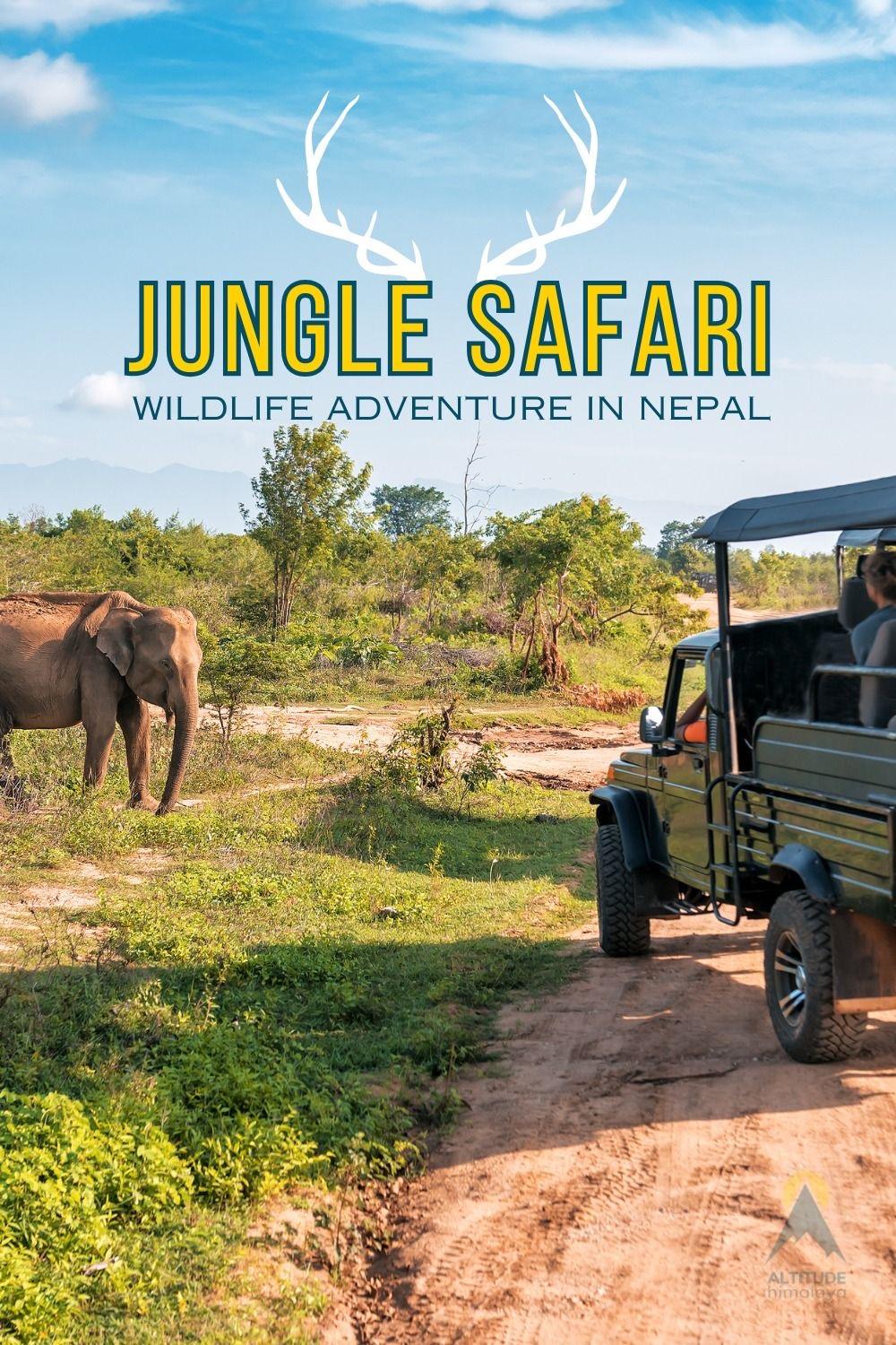 Chitwan National Park safari